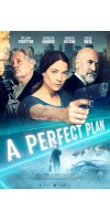 A Perfect Plan (2020 - English)